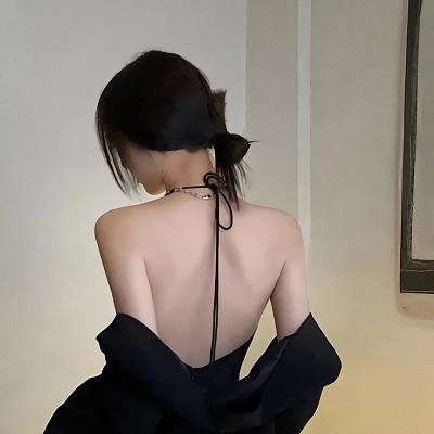 与鲨同泳